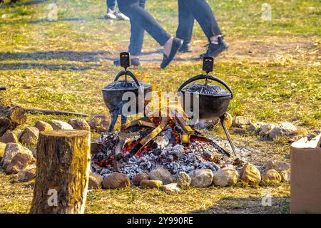 Zwei große schwarze gusseiserne Töpfe, die bei einer hohen Temperatur des Feuers auf dem Gras platziert wurden, um eine Mahlzeit zuzubereiten, Artofli-Braten Stockfoto