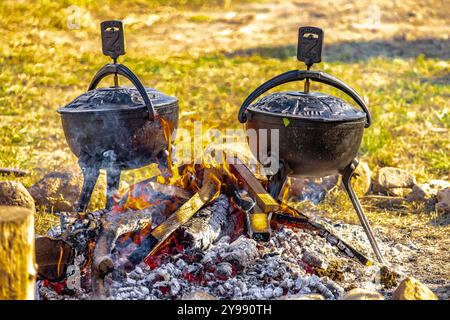 Zwei große schwarze gusseiserne Töpfe, die bei einer hohen Temperatur des Feuers auf dem Gras platziert wurden, um eine Mahlzeit zuzubereiten, Artofli-Braten Stockfoto