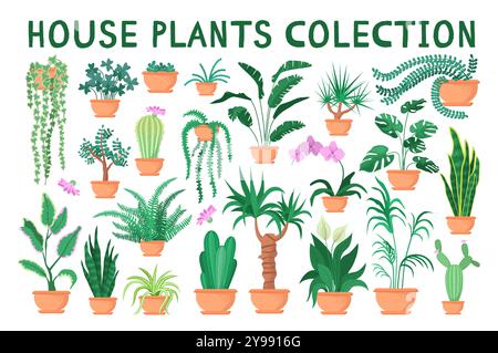 Haus Pflanzen Set. Dekorative grüne Blüten in einem Tontopf. Innenarchitektur, nachhaltiges Blumenmobjekt. Botanische Kollektion. Illustration des flachen Vektors Stock Vektor