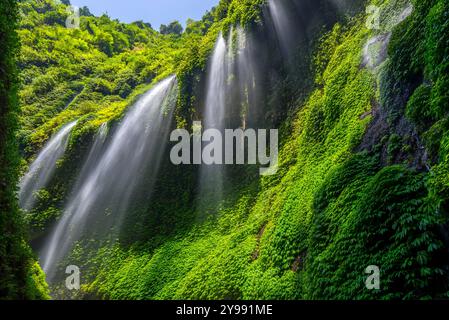 Madakaripura Wasserfall, Ost-Java, Indonesien Stockfoto