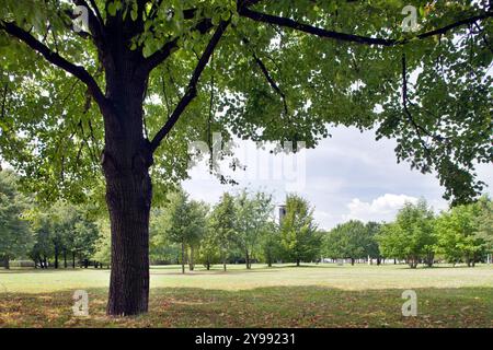 Entdecken Sie die ruhige Schönheit des Tiergartens in Berlin, wo lebhaftes Laub und hohe Bäume einen friedlichen Rückzugsort von der Stadt schaffen. Stockfoto