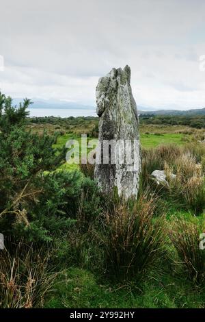 Ardroom Stones Circle - John Gollop Stockfoto