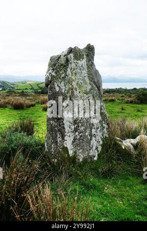 Ardroom Stones Circle - John Gollop Stockfoto