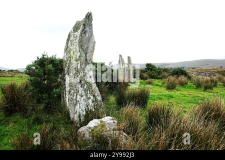 Ardroom Stones Circle - John Gollop Stockfoto