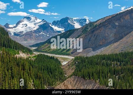 Athabasca River Valley, Kanadische Rockies, Jasper National Park, Kanada. Stockfoto