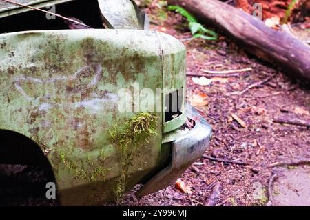 Verlassener alter grüner Chevy im Wald am Spring Beach in Lake Cowichan auf Vancouver Island in British Columbia, Kanada Stockfoto