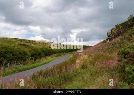 Ein stürmischer Himmel erhebt sich über einer schmalen Straße, die durch die Bathgate Hills in West Lothian, Schottland, Vereinigtes Königreich verläuft. Stockfoto