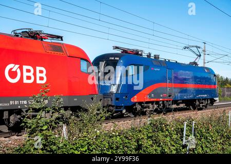 Wels, Österreich. 9. Oktober 2024 Nighjet Lok auf der Weststrecke nahe Welser Hauptbahnhof. Nach den schweren Unwetterschäden in Österreich wird ab morgen wieder ein Betrieb vier Mal stündlich von Westbahn und ÖBB zwischen Salzburg und Wien möglich sein. *** Wels, Österreich 9. Oktober 2024 Nighjet-Lokomotive auf der Weststrecke nahe dem Wels Hauptbahnhof nach den schweren Sturmschäden in Österreich können Westbahn und ÖBB ab morgen wieder viermal pro Stunde zwischen Salzburg und Wien fahren Stockfoto