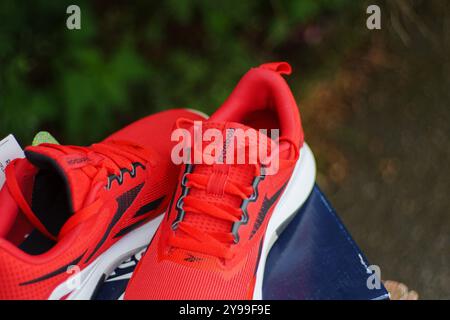 Tyumen, Russland, 20. Juni 2024: Reebok Red Sneakers Logo. Reebok ist ein weltweiter Sportschuh Stockfoto