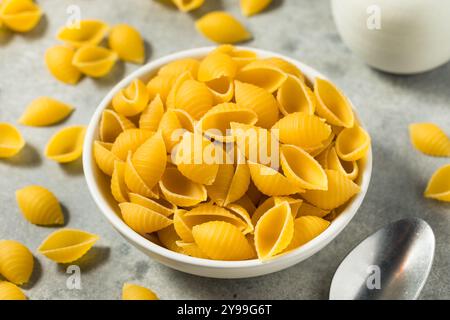 Trockene Bio-Conchiglie-Pasta-Schalen bereit zum Kochen Stockfoto