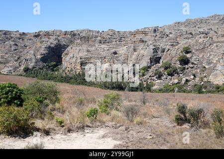 Isalo Massiv. Trockener Laubwald mit Sandsteinfelsen, Canyons und Flüssen. Ranohira, Fianarantsoa, Region Ihorombe, Madagaskar. Stockfoto