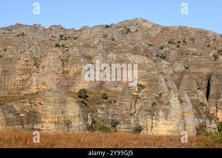 Isalo Massiv. Trockener Laubwald mit Sandsteinfelsen, Canyons und Flüssen. Ranohira, Fianarantsoa, Region Ihorombe, Madagaskar. Stockfoto