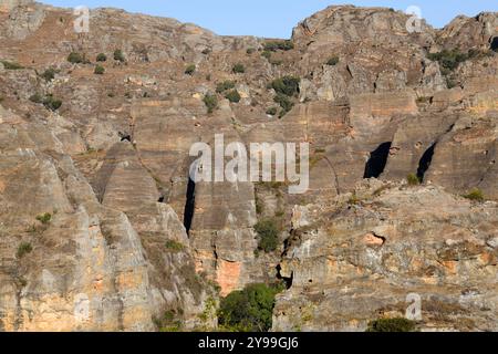 Isalo Massiv. Trockener Laubwald mit Sandsteinfelsen, Canyons und Flüssen. Ranohira, Fianarantsoa, Region Ihorombe, Madagaskar. Stockfoto