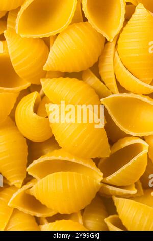 Trockene Bio-Conchiglie-Pasta-Schalen bereit zum Kochen Stockfoto