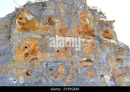 Isalo Massiv. Sandsteinfelsen mit Tafoni. Ranohira, Fianarantsoa, Region Ihorombe, Madagaskar. Stockfoto