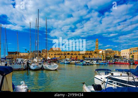 Blick auf den Yachthafen mit Yachten und alten Hafenmauern in der Altstadt von Akkon, Israel, Naher Osten Stockfoto