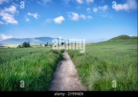 Der Camino Trail führt zu den Bergen und dem Mirador Alto del Perdón Stockfoto