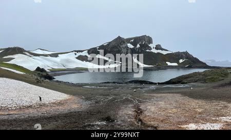 Ein atemberaubender Panoramablick auf die Insel Barrientos, mit einem schneebedeckten Berg, einer felsigen Küste und einem einsamen Pinguin im Vordergrund, mit Antarktis Stockfoto