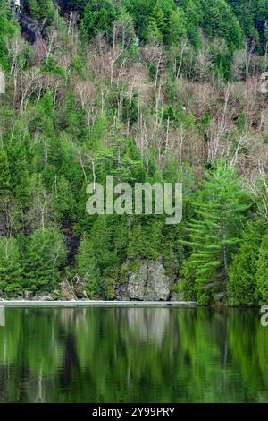 Eis am Chapel Pond im März, Adirondack Park, NY Stockfoto