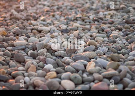 Dieses Bild zeigt eine Nahaufnahme von glatten, runden Kieselsteinen, die über einen Strand verstreut sind. Die Vielfalt der Farben – von hellem Beige bis zu weichen Grautönen A Stockfoto