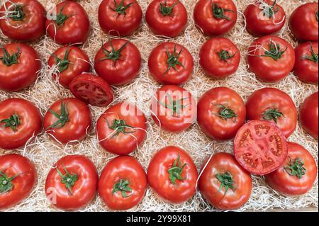 Madrid, Spanien. Oktober 2024. Tomaten an einem Stand auf der Frucht-Attraktion 2024 in der IFEMA. Fruit Attraction ist eine der wichtigsten europäischen Messen in der Agrar- und Lebensmittelindustrie. Quelle: Marcos del Mazo/Alamy Live News Stockfoto