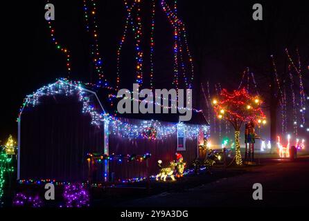 Ein kleines Gebäude in einem Stadtpark im Nordosten von Ohio ist mit Weihnachtslichtern bedeckt und steht unter Lichtern, die auf hohen Bäumen klettern. Stockfoto