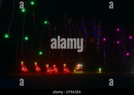 Ein Weihnachtsmann in seinem Schlitten und Rentier unter hohen Baumlichtsaiten in einem Stadtpark im Nordosten von Ohio Stockfoto