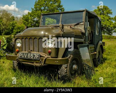 Mai 2022 - 1967 Austin Champ British Army Jeep der 1960er Jahre auf einer Oldtimer-Ausstellung in der Nähe von Frome in Somerset, England, Großbritannien. Stockfoto