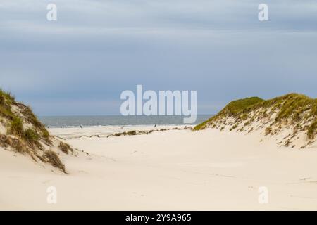 Goldene Sanddünen erheben sich sanft zu einem ruhigen Meereshorizont, der von einem bewölkten Himmel eingerahmt wird. Die friedliche Szene spiegelt einen ruhigen Morgen an der Küste wider. Stockfoto