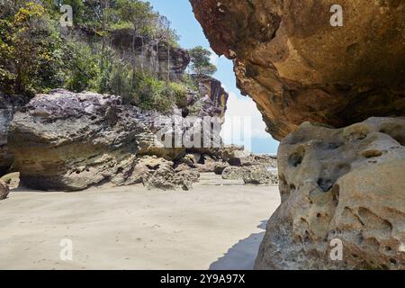 Neben der malerischen Strandlage und den Naturpfaden ist der Bako-Nationalpark einer der besten Orte in Borneo, um die Tierwelt zu sehen. Am weitesten nicht Stockfoto