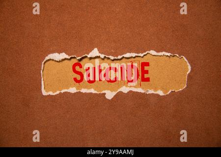 Selbstmord - Worte aus Holzblöcken mit Buchstaben, absichtlich Selbstmord-Konzept, weißer Hintergrund Stockfoto