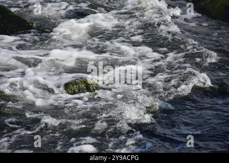 Eine detaillierte Nahaufnahme eines Flusses mit Schaum, der von seiner Oberfläche austritt Stockfoto