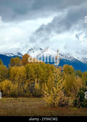 Eine atemberaubende Herbstlandschaft mit goldenen Feldern, wechselndem Laub und der dramatischen Kulisse schneebedeckter Berggipfel unter bewölktem Himmel Stockfoto