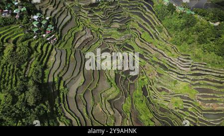 Aus der Vogelperspektive der malerischen Batad Rice Terrassen in der Provinz Ifugao, Luzon Island, Philippinen, Asien Stockfoto