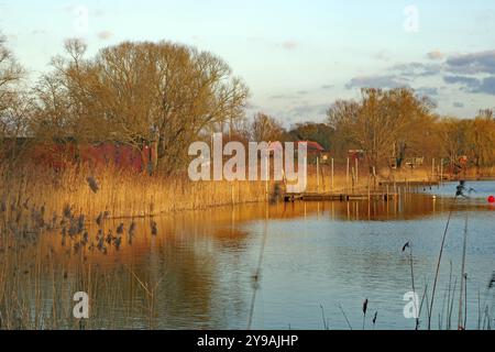 Ein Fluss mit Schilf am Ufer, umgeben von Bäumen und ruhigen Wassergebieten, Gartowsee, Gartowsee, Wendland, Niedersachsen, Deutschland, Europa Stockfoto