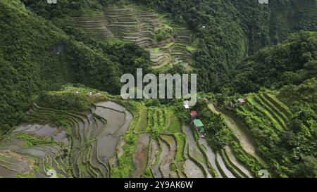 Aus der Vogelperspektive der malerischen Batad Rice Terrassen in der Provinz Ifugao, Luzon Island, Philippinen, Asien Stockfoto