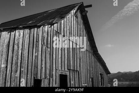 Verlassene Scheune, Schwarzweißbild, USA, Nordamerika Stockfoto