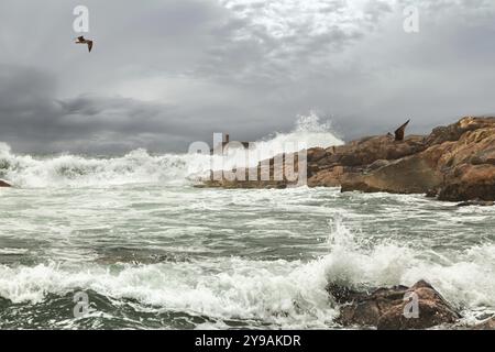 Der Ozean westlich von Portugal an der Mündung des Flusses Douro in Porto im Herbst Stockfoto