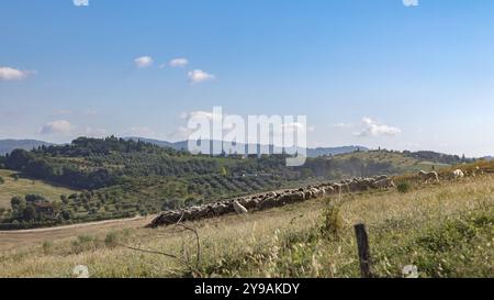 Wunderschöne toskanische Landschaft Atmosphäre. Italia Stockfoto