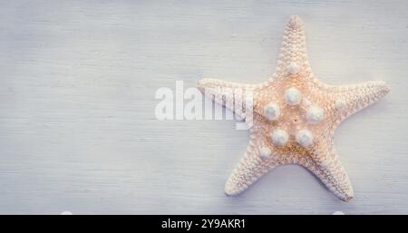 Urlaubsdetail Eines Seesterns vor weiß gemalter Kulisse Stockfoto