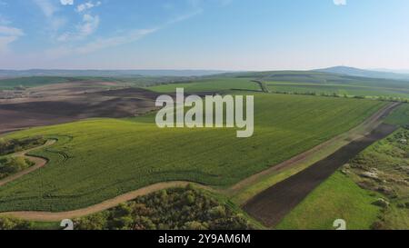 Blick aus der Vogelperspektive auf die wunderschönen grünen welligen Hügel mit landwirtschaftlichen Feldern im Frühling. Region Südmähren, Tschechische Republik, Europa Stockfoto