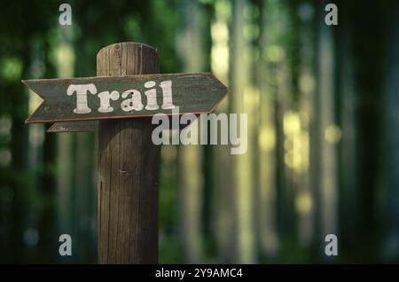 Hölzerne Trail Zeichen In einem Wald für Wanderer Stockfoto