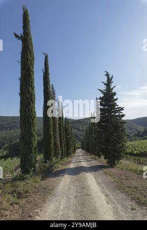 Wunderschöne toskanische Landschaft Atmosphäre. Italia Stockfoto