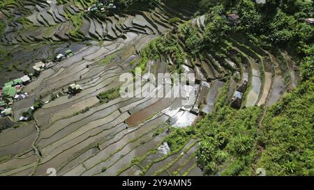 Aus der Vogelperspektive der malerischen Batad Rice Terrassen in der Provinz Ifugao, Luzon Island, Philippinen, Asien Stockfoto