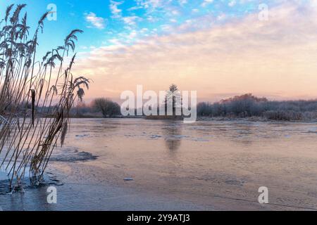 Winterlandschaft mit einem gefrorenen Fluss umgeben von Bäumen und Gräsern, Himmel in sanften Pastellfarben, reflektiert die Ruhe der Szene, Frost c Stockfoto