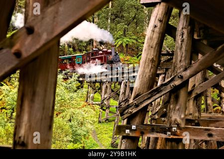 Puff Billy Personenwagen überqueren die 1899 erbaute Trestle Bridge, die Dandenong Ranges Victoria, Australien Stockfoto