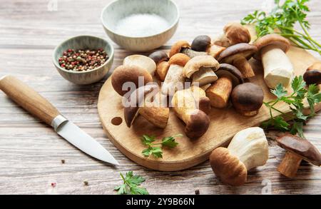 Auf einem hölzernen Schneidebrett werden verschiedene frische Pilze neben Kräutern und einer Schüssel mit gemischten Gewürzen angeordnet. Die einladende Küchenatmosphäre Stockfoto