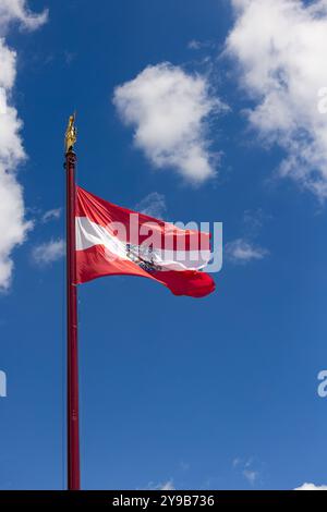 Das Emblem der Österreichischen Flagge winkt auf einem Pfosten mit blauem, bewölktem Himmel im Hintergrund Stockfoto