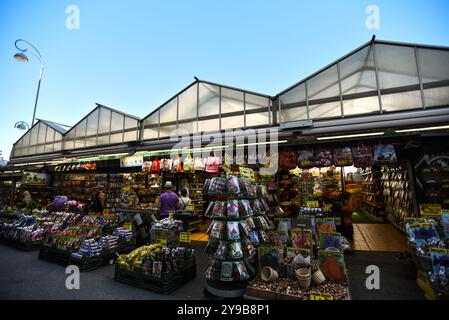 Amsterdamer Blumenmarkt mit Tulpenbirnen – Niederlande Stockfoto