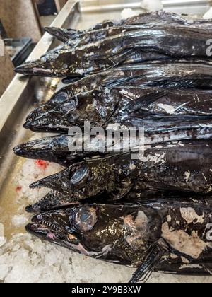 Schwarzbarsch zum Verkauf in der Markthalle Mercado dos Lavradores in Funchal, Madeira, Portugal. Stockfoto